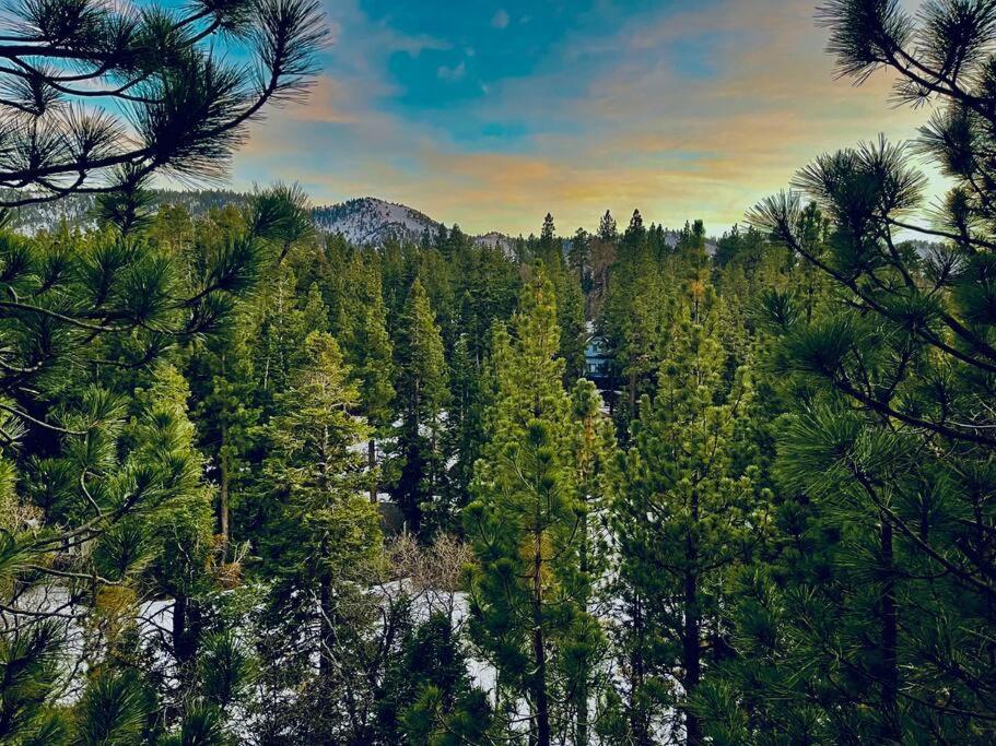 فيلا Luxury Joyful Bear Cabin With View, بيغ بير لاكي، سان بيرناردينو، كاليفورنيا المظهر الخارجي الصورة