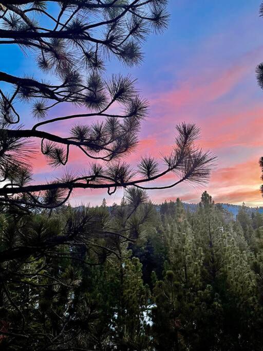 فيلا Luxury Joyful Bear Cabin With View, بيغ بير لاكي، سان بيرناردينو، كاليفورنيا المظهر الخارجي الصورة