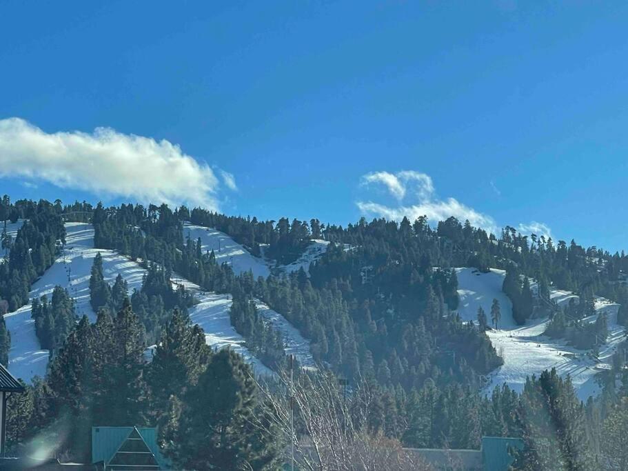 فيلا Luxury Joyful Bear Cabin With View, بيغ بير لاكي، سان بيرناردينو، كاليفورنيا المظهر الخارجي الصورة